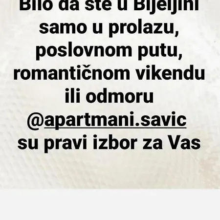 Apartment Savic 1 *